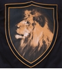 Image de Copa Football - T-Shirt col en V Holland Lion - Noir