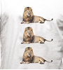Image de Copa Football - T-shirt England Lions - Blanc