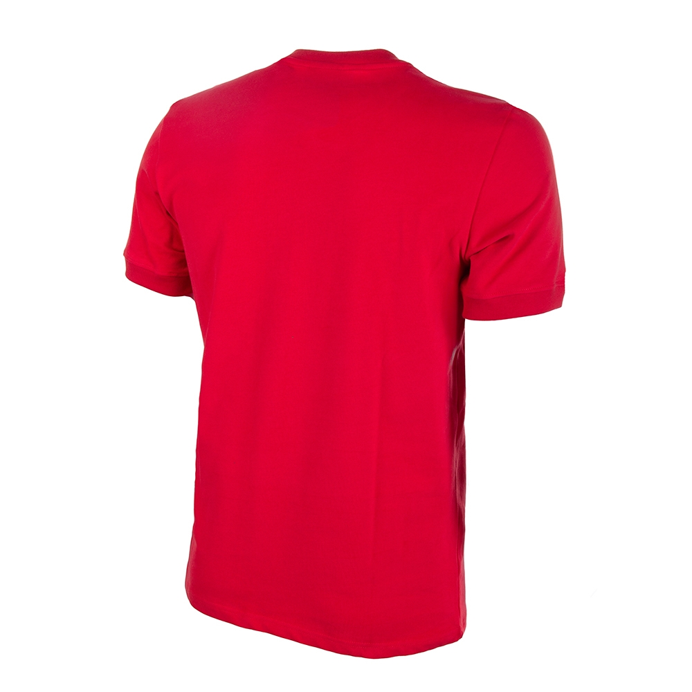 Maillot retro de Football Danemark années 70