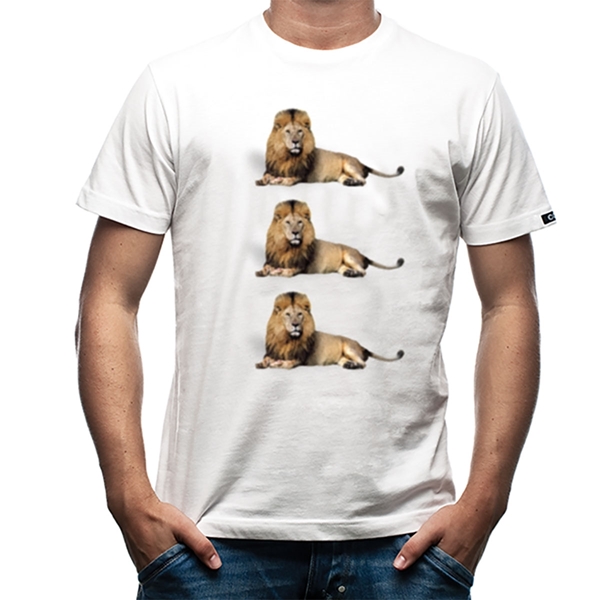 Image de Copa Football - T-shirt England Lions - Blanc