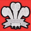 Image de Pays de Galles 1905 Rugby Sweat a Capuche Zippé - Rouge