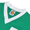 Image de Maillot rétro Irlande du Nord 1958