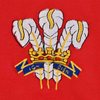 Image de Wales Rugby Ringer T-Shirt