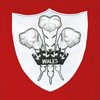 Image de Rugby Vintage - Polo Pays de Galles années 1980 - Rouge