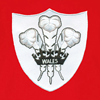 Image de Rugby Vintage - Polo Pays de Galles années 1980 - Rouge/Blanc