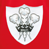Image de Rugby Vintage - Maillot de rugby Pays de Galles années 50 - Rouge