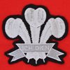 Image de Maillot de rugby Pays de Galles 1905